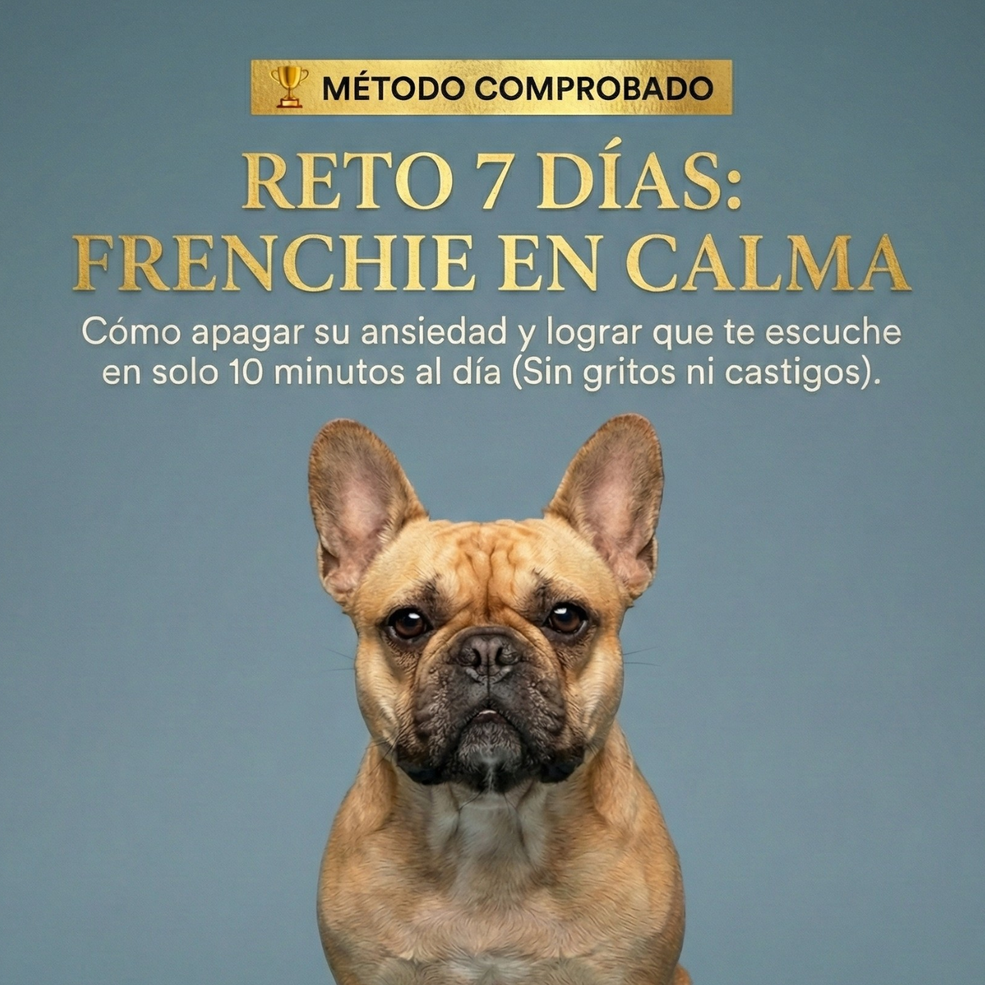 Reto 7 Días: Elimina su Ansiedad y Baja el Cortisol