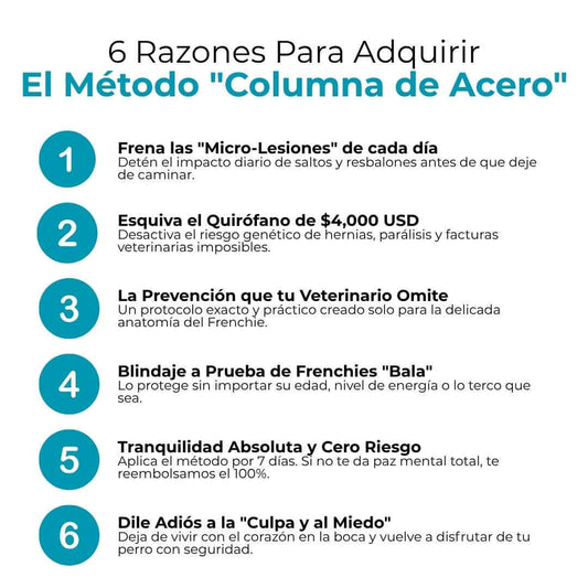 Columna de Acero - Previene el IVDD en tu Frenchie