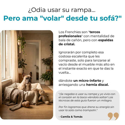 Columna de Acero - Previene el IVDD en tu Frenchie