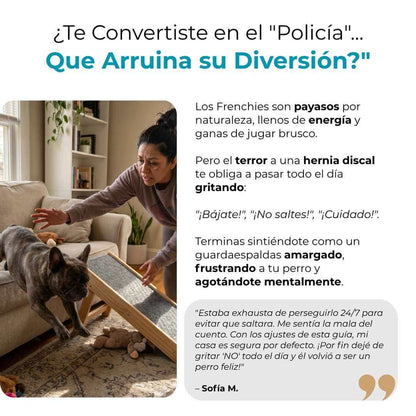 Columna de Acero - Previene el IVDD en tu Frenchie