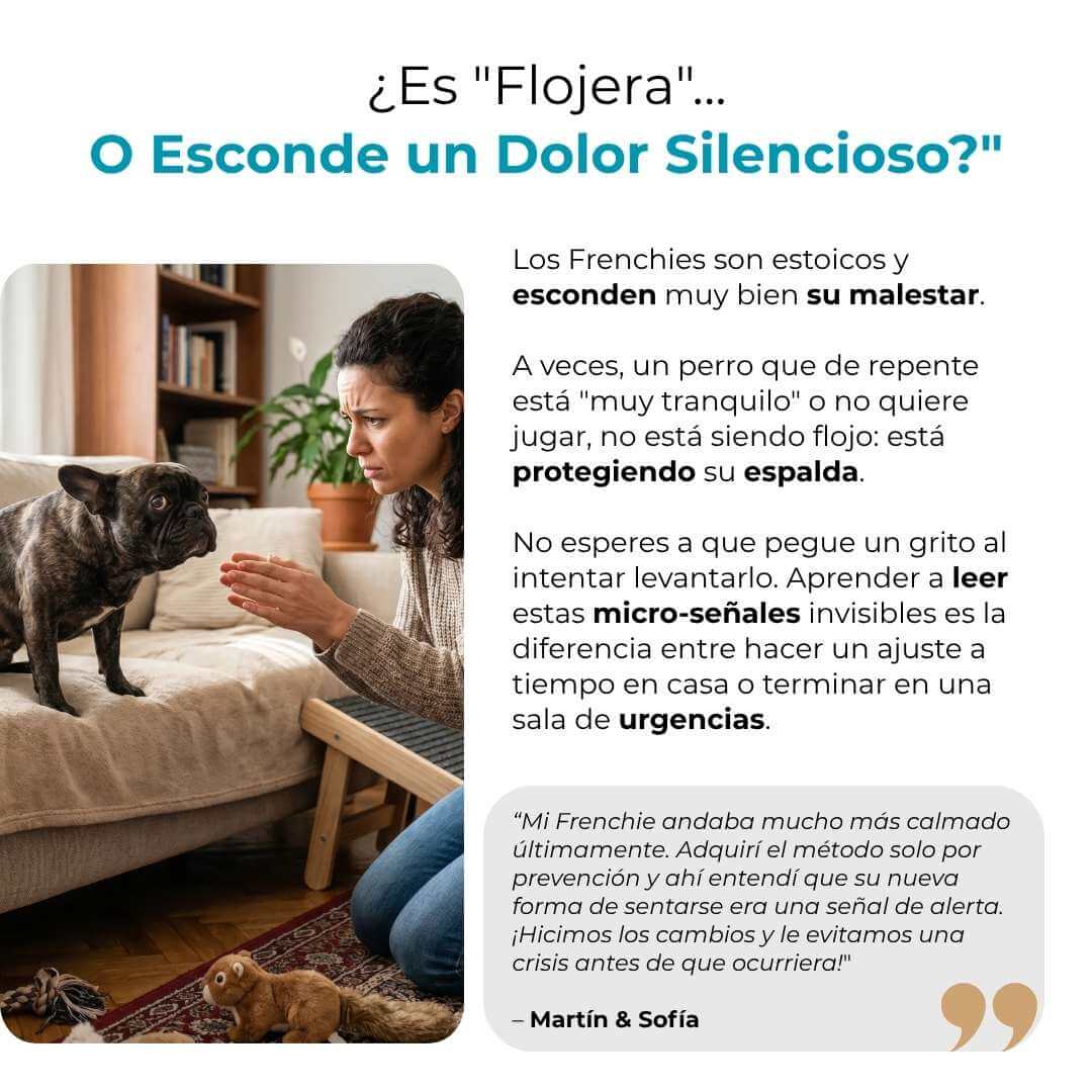 Columna de Acero - Previene el IVDD en tu Frenchie