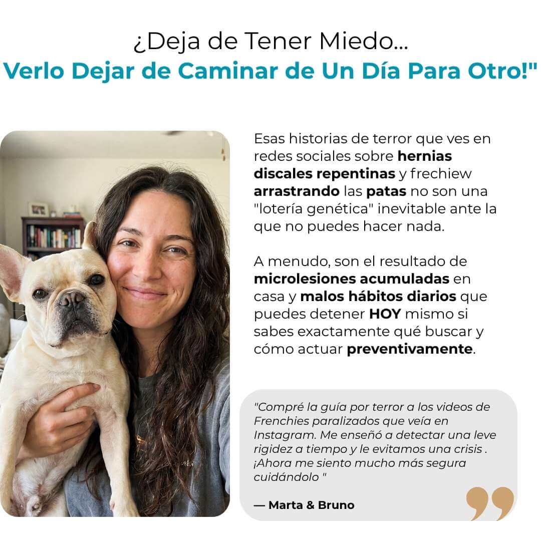 Columna de Acero - Previene el IVDD en tu Frenchie