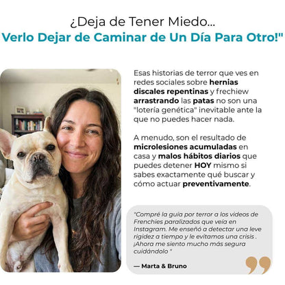 Columna de Acero - Previene el IVDD en tu Frenchie