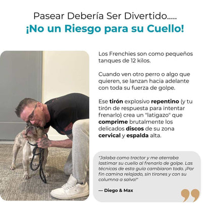 Columna de Acero - Previene el IVDD en tu Frenchie