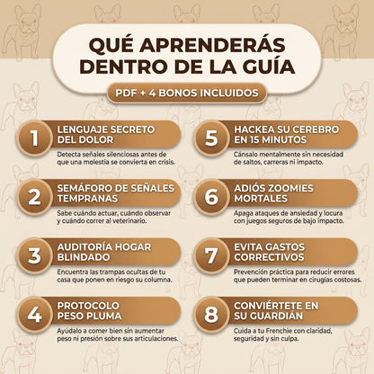 Columna de Acero - Previene el IVDD en tu Frenchie
